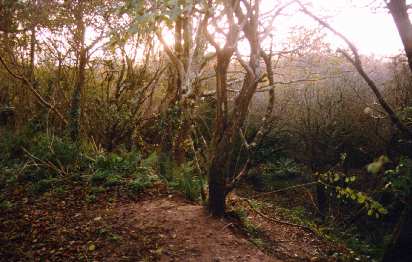 St Erth pits