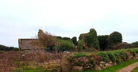 The ruins of Kemyel Manor near Lamorna ( as featured in the books ) - photos courtesy of Eamonn Duffy | 30 December 2019 | The Smugglers of Mousehole