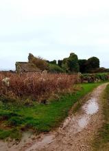 The ruins of Kemyel Manor near Lamorna ( as featured in the books ) - photos courtesy of Eamonn Duffy | 30 December 2019 | The Smugglers of Mousehole