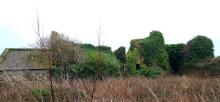 The ruins of Kemyel Manor near Lamorna ( as featured in the books ) - photos courtesy of Eamonn Duffy | 30 December 2019 | The Smugglers of Mousehole